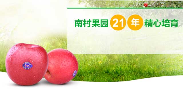 南村果园21年精心培育
