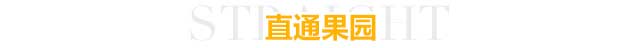 直通果园