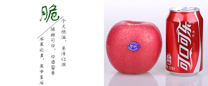 紫弘
