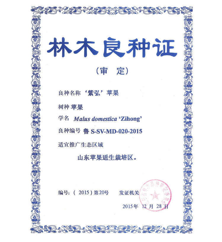 紫弘苗木2021_06.jpg
