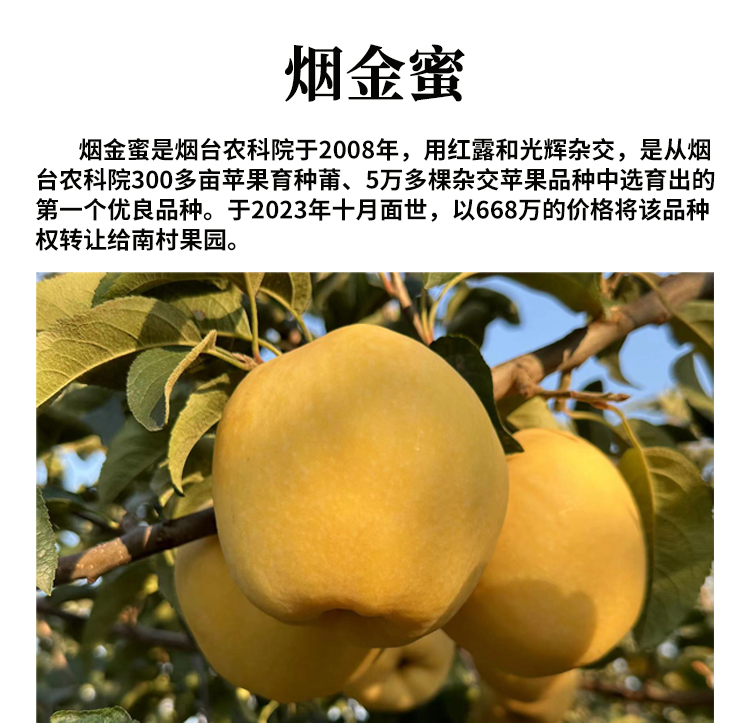 未标题-1_01.jpg
