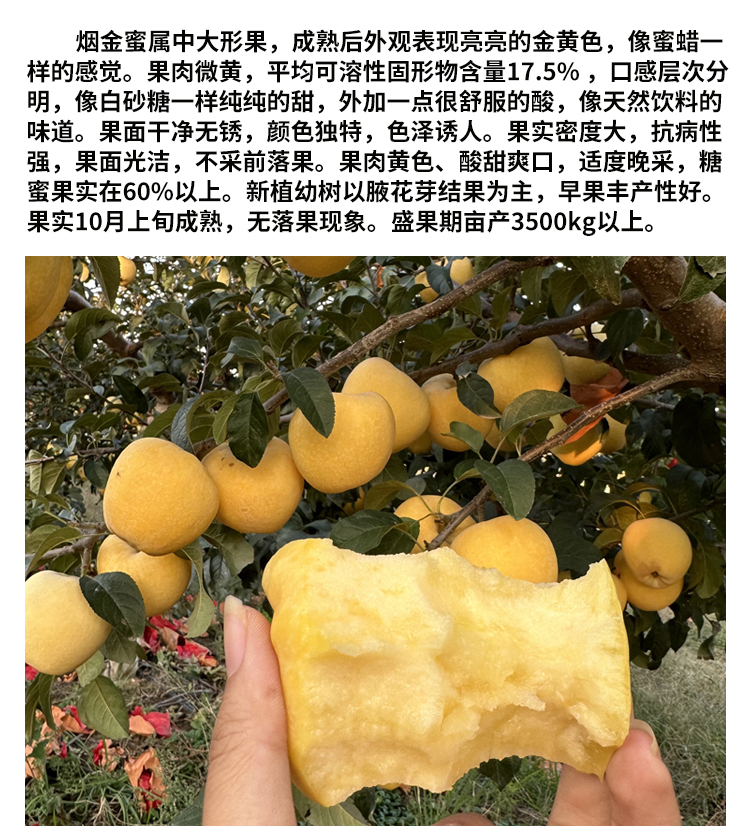 未标题-1_02.jpg